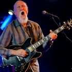 John Scofield [usa]