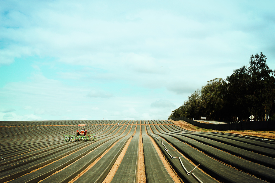 John Steinbecks Land