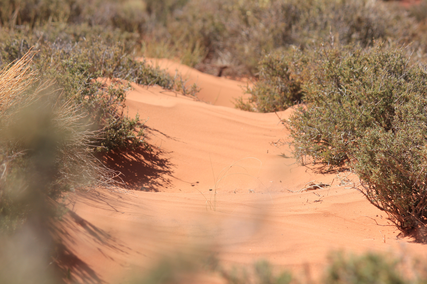 John Wayne Sanddunes