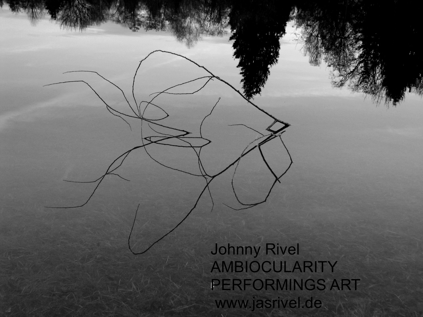 Johnny  Rivel Fotographic art System (61)