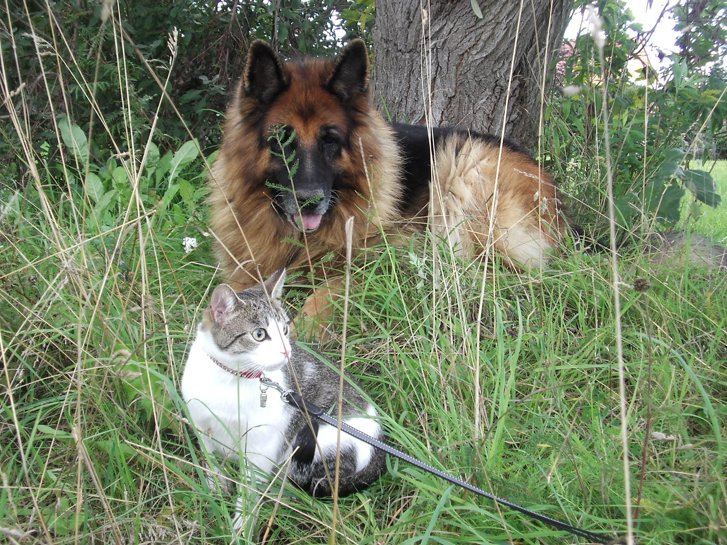 Johnny und Babsi