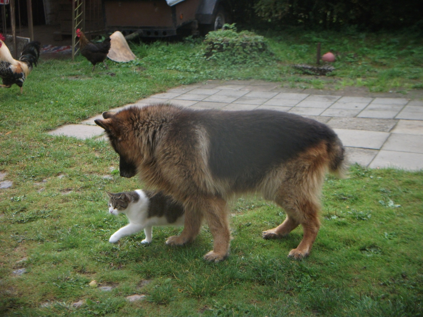 Johnny und Babsi auf dem Bauernhof