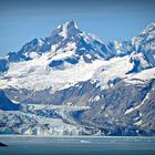 Johns Hopkins Glacier