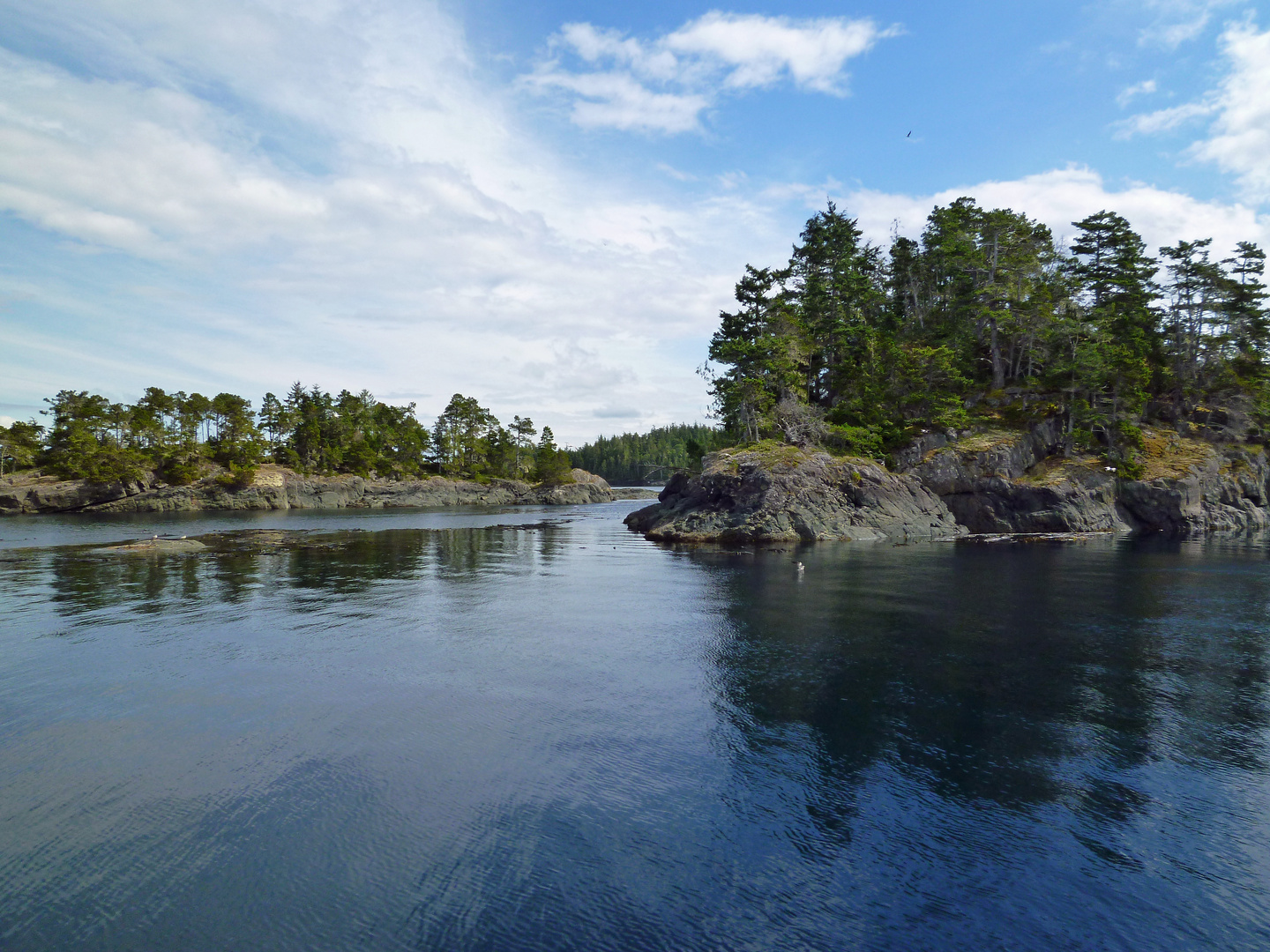 Johnstone Strait, BC