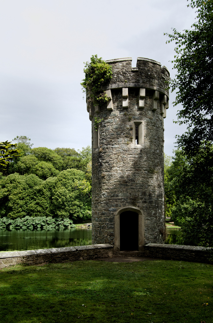 ... Johnstown Castle IV ...