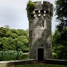 ... Johnstown Castle IV ...