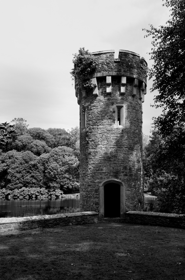 ... Johnstown Castle IV s/w ...