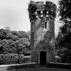 ... Johnstown Castle IV s/w ...