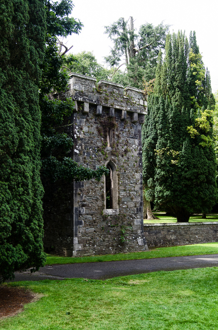 ... Johnstown Castle VI ...