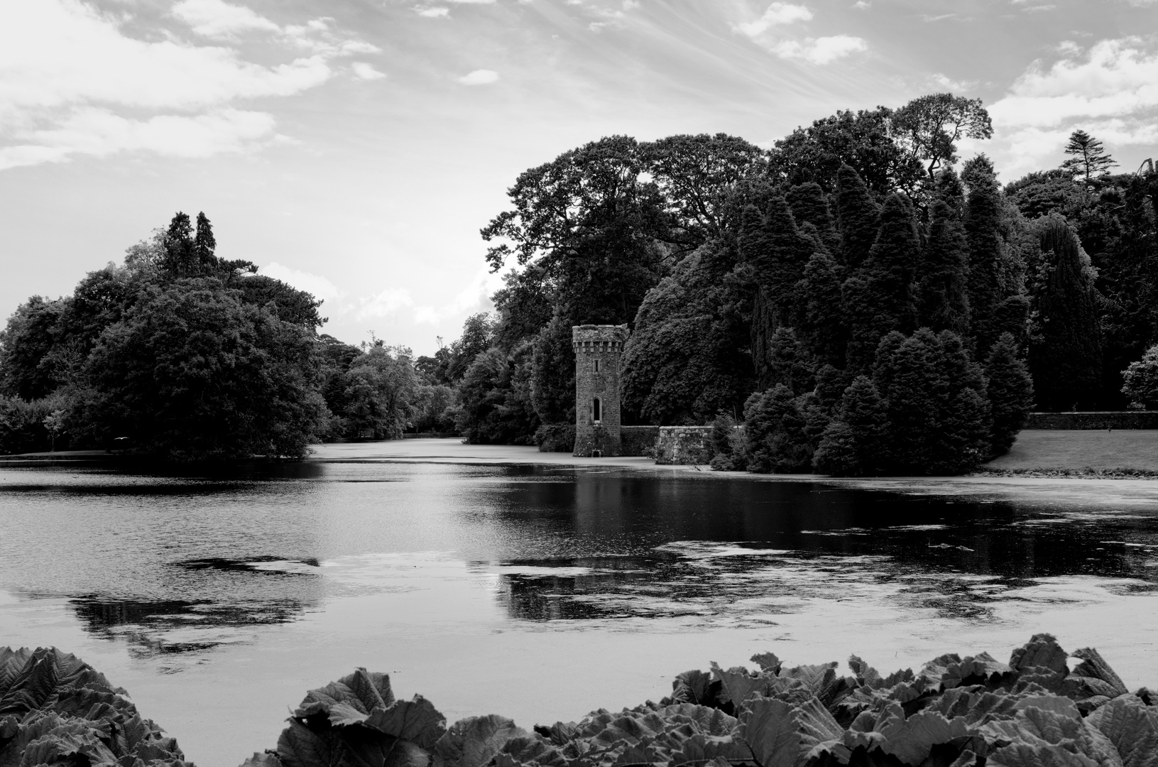 ... Johnstown Castle VII s/w ...