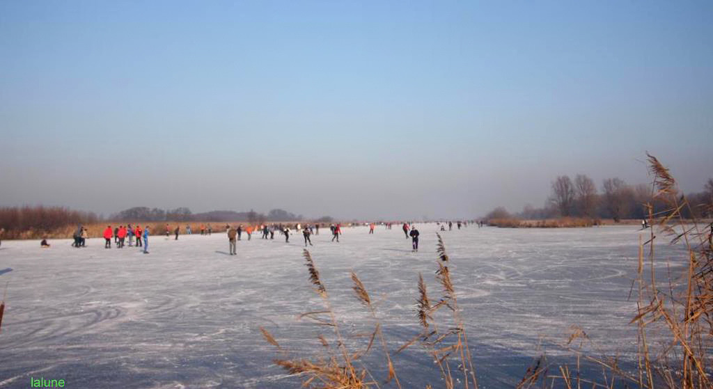 joie d'hiver....winter amusement