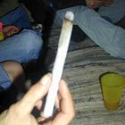 Joint