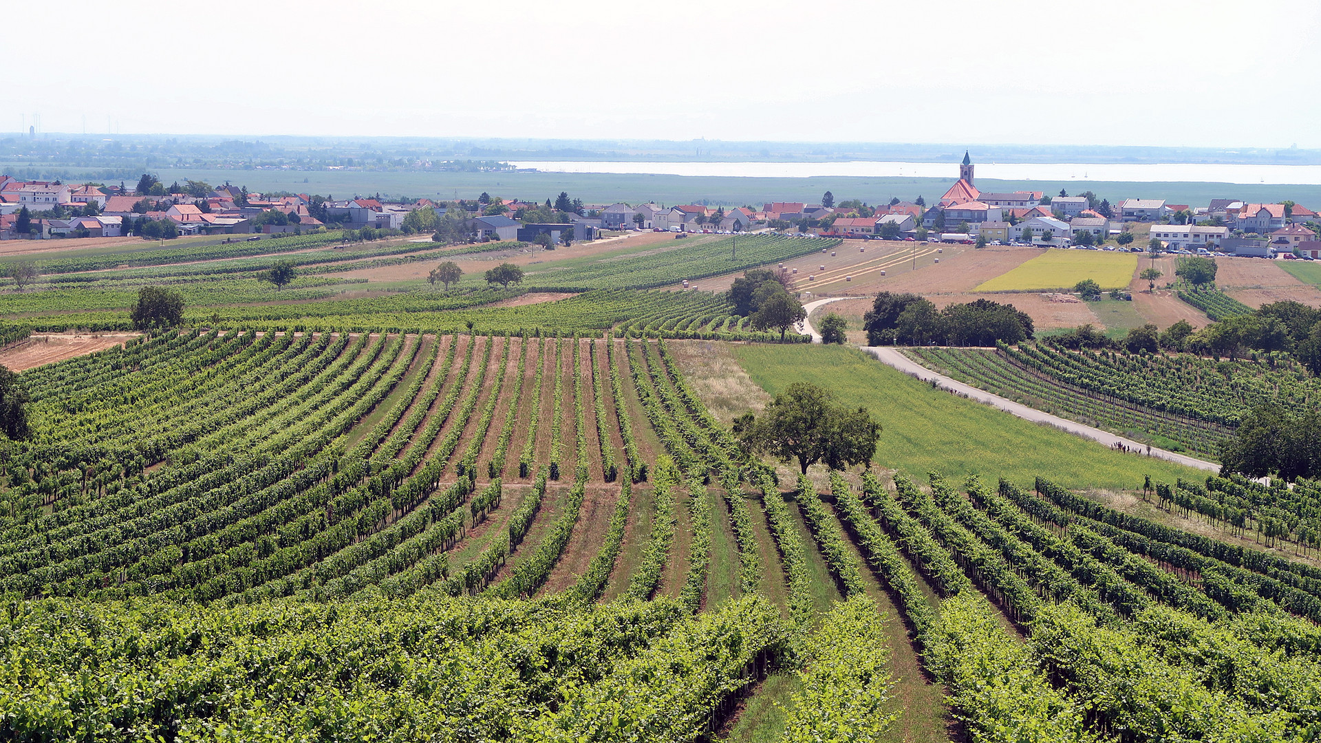 Jois am Neusiedler See