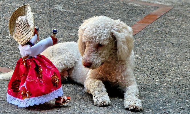 "jolie, oui, mais elle n'est pas mon genre"