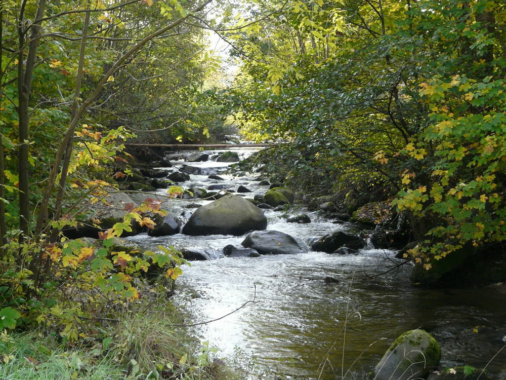 JOLIE PETITE RIVIERE photo et image les saisons, automne, nature