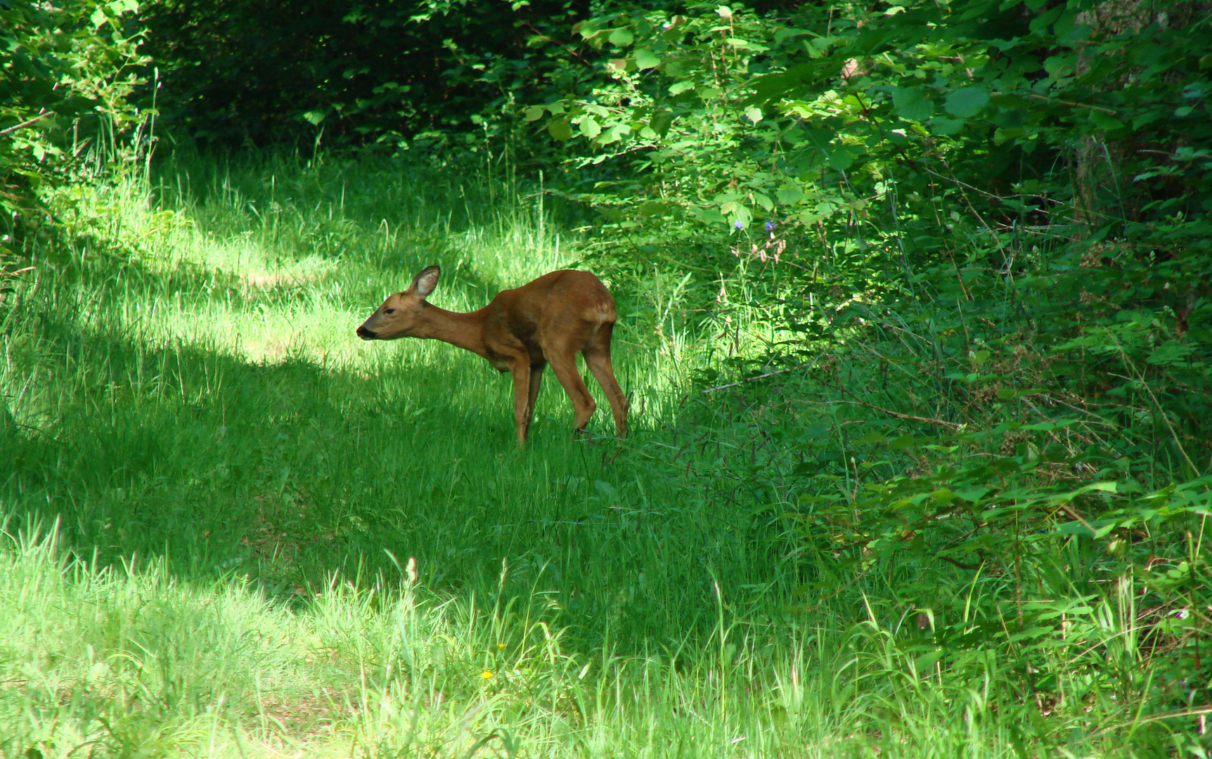 Jolie rencontre