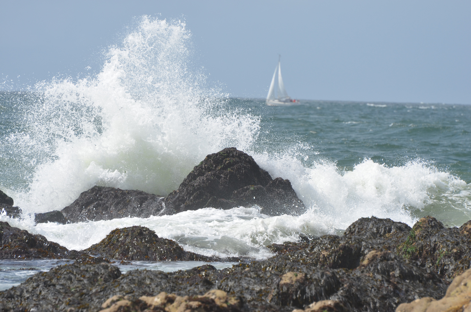 jolie vague