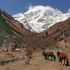 Jomolhari (7314 m?)