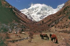 Jomolhari (7314 m?)