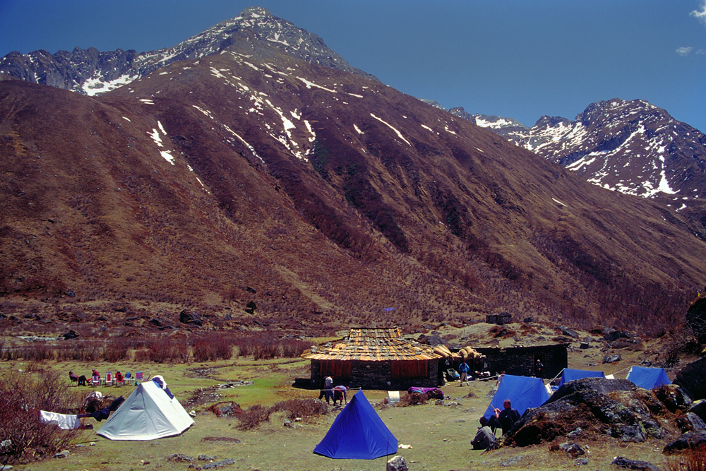 Jomolhari basecamp