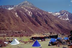 Jomolhari basecamp