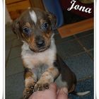 Jona sucht ein zu hause