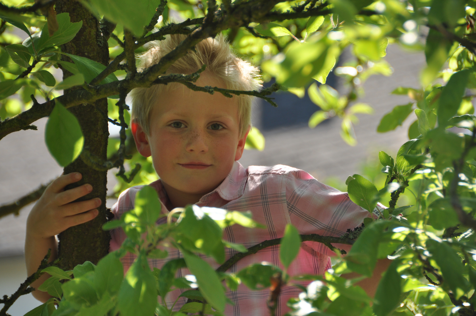 Jonas im Baum ;O)