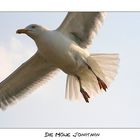 Jonathan Livingston Seagull