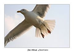 Jonathan Livingston Seagull