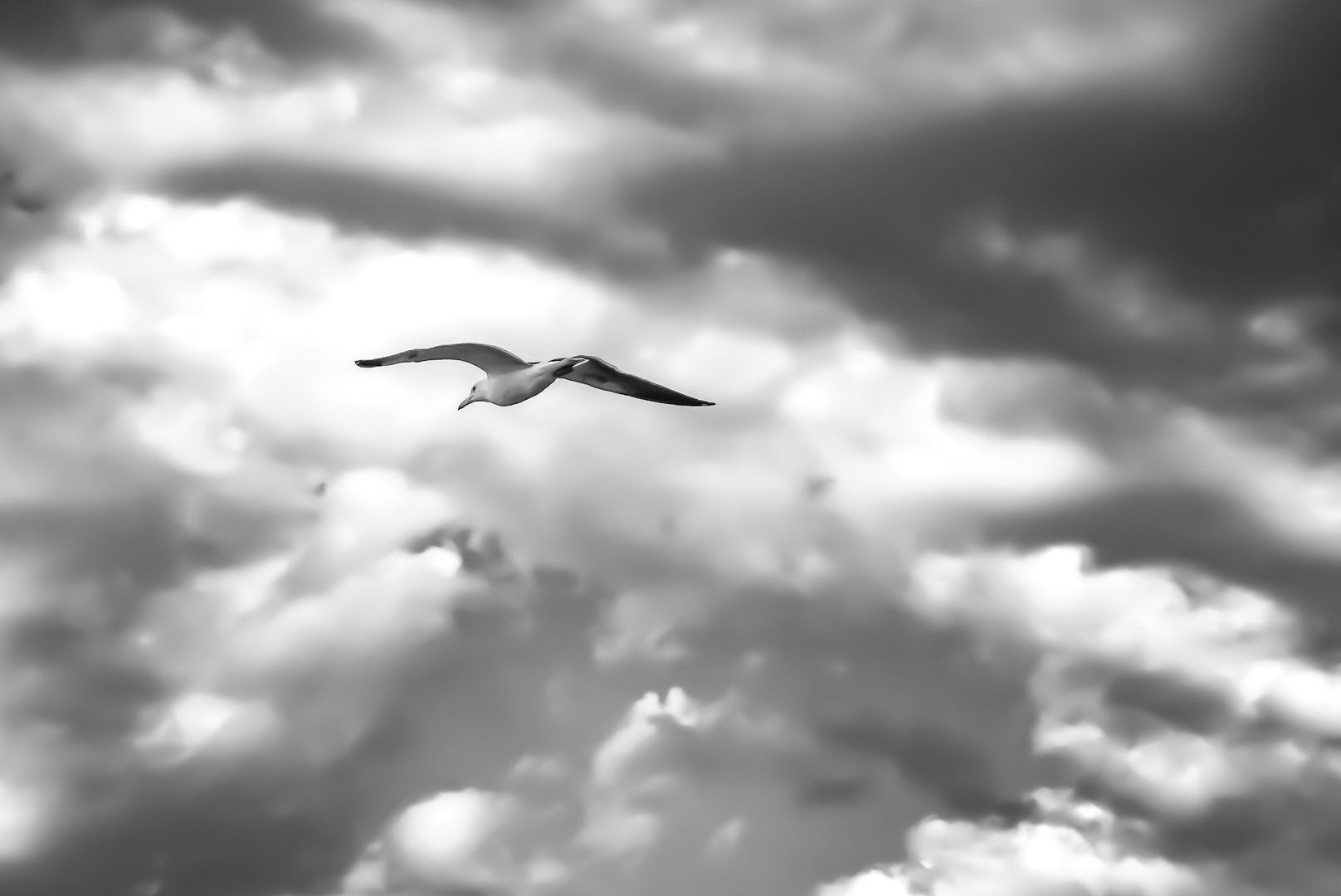 Jonathan Livingston Seagull - Verbannung