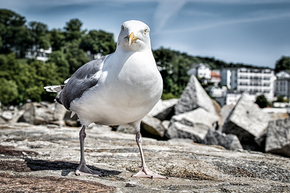 Jonathan macht Pause