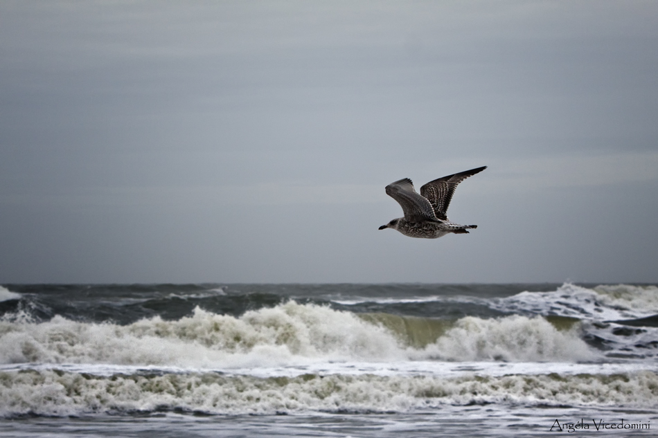 Jonathan - Stimmungen auf Sylt