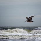 Jonathan - Stimmungen auf Sylt