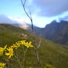 Jonkershoek Valley, Stellenbosch, Cape Town