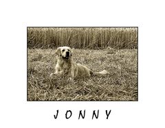 Jonny