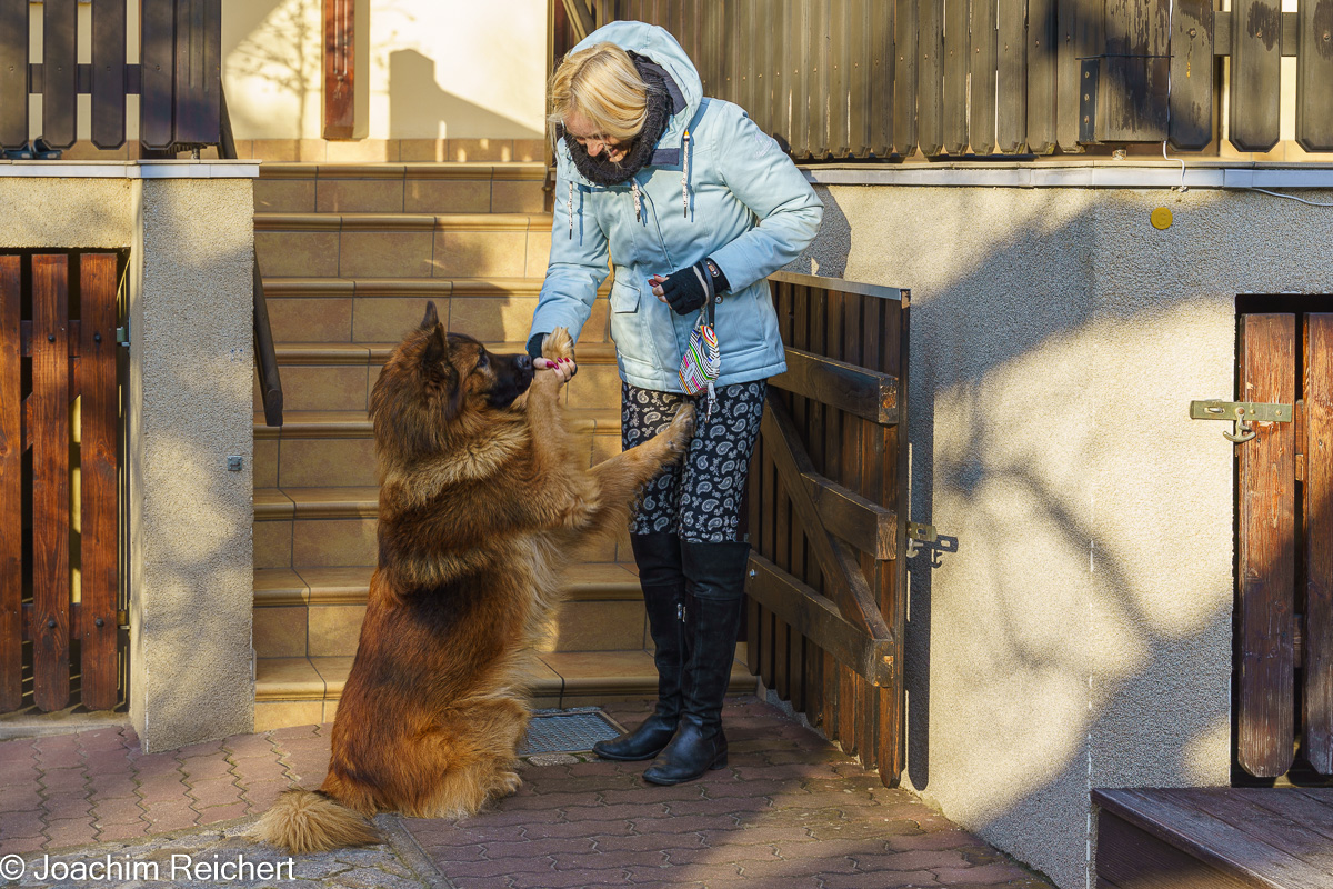 Jonny, unser Hund, bedankt sich fürs Leckerli