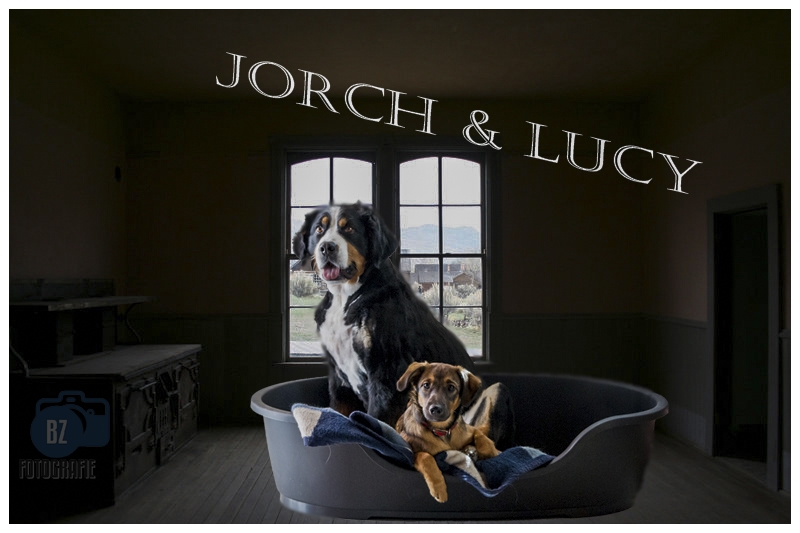 Jorch & Lucy