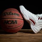Jordan 12 ball