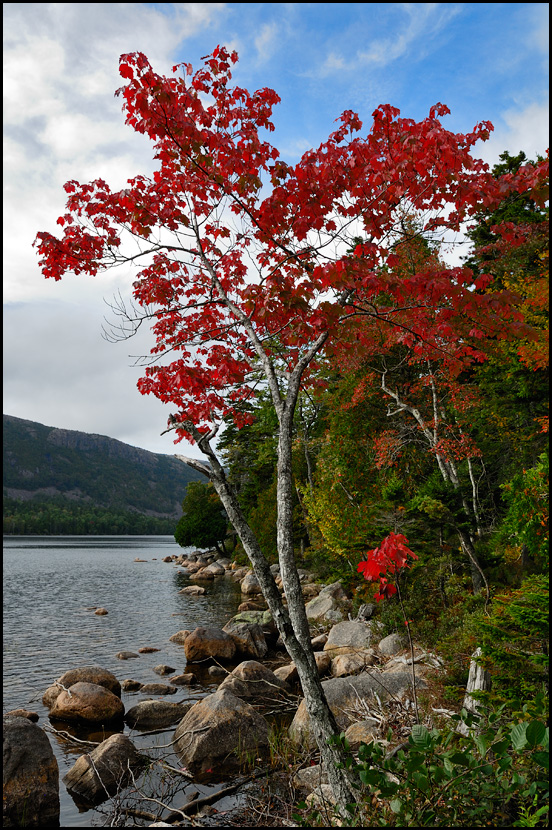 [ Jordan Pond ]