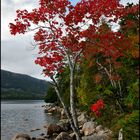 [ Jordan Pond ]