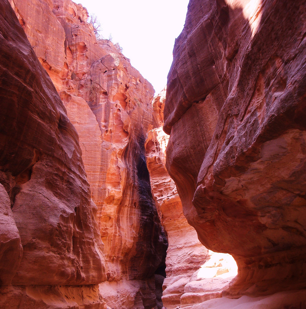JORDANIA-Camino desfiladero Petra