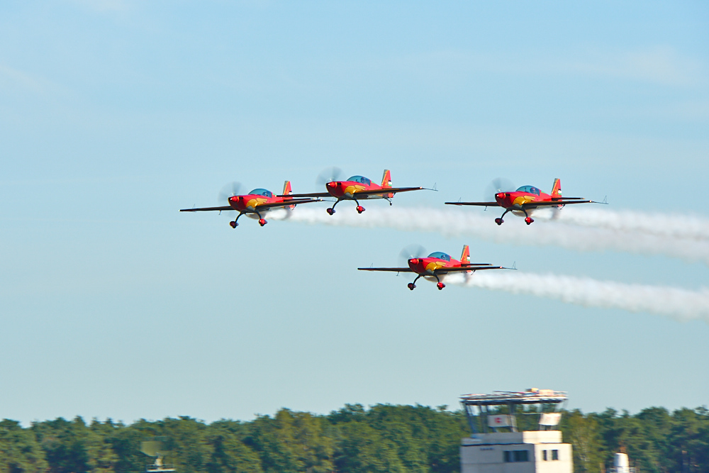 Jordanian Falcons