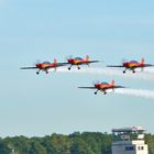 Jordanian Falcons