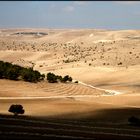 JORDANIE LA ROUTE DES ROIS (3)