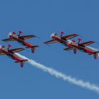 Jordanien Falcons