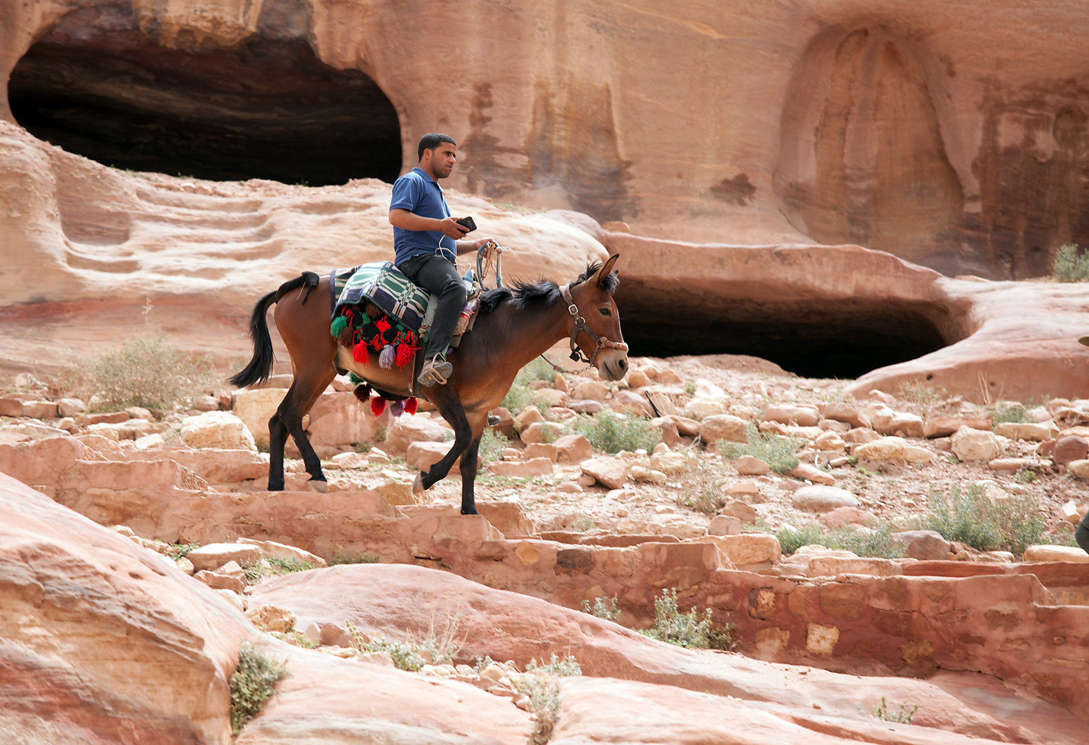 JORDANIEN / PETRA