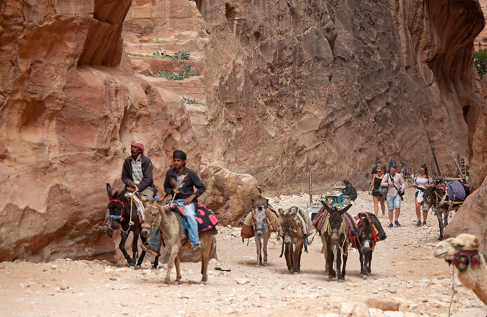 JORDANIEN / PETRA