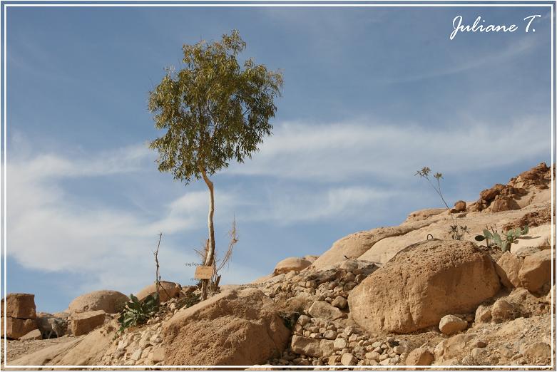 jordanien - petra - schlucht