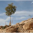 jordanien - petra - schlucht