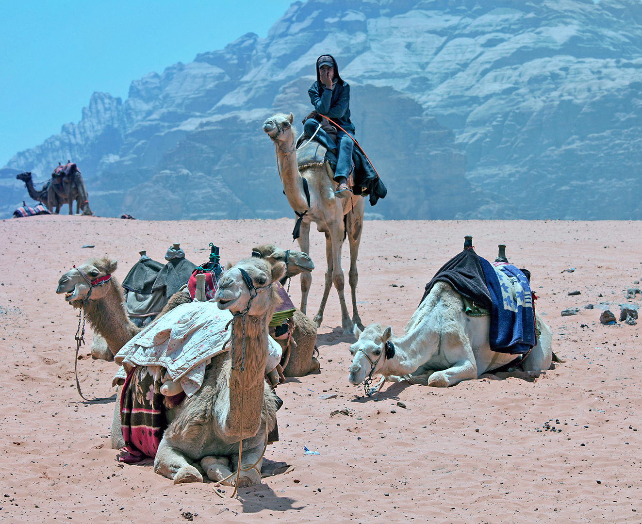 JORDANIEN / WADI RUM